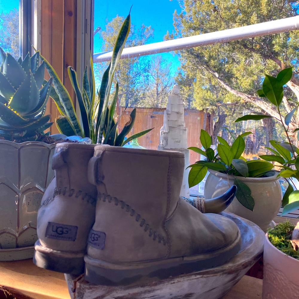 Gently used pair of women’s UGG booties. Still a lot of life in them.